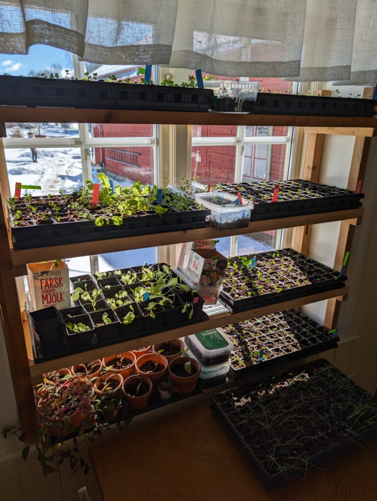 PXL 20240317 112706597