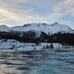 481d21e5-b53a-4d94-b920-e53cb4feb44f