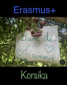 IMG 3741 2